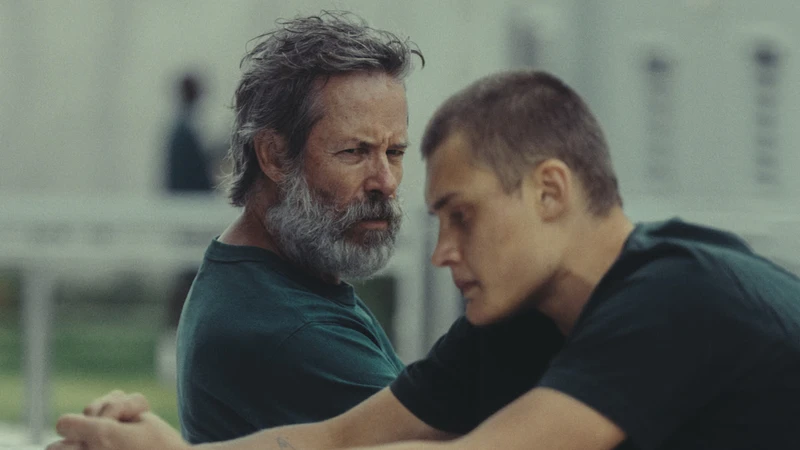 Inside (2024), film online, watch the movie online